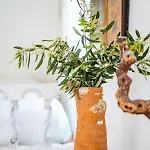 بيت للعطل Olive Grove