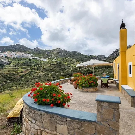 Dom wakacyjny Olive Grove