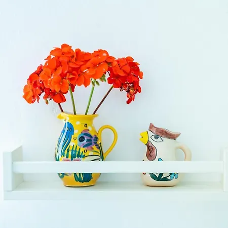 Olive Grove Dom wakacyjny