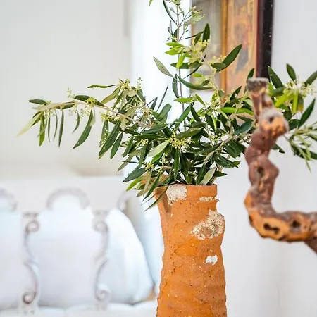 Hébergement de vacances Olive Grove