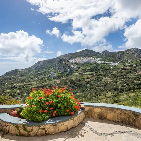 Hébergement de vacances Olive Grove Menetaí