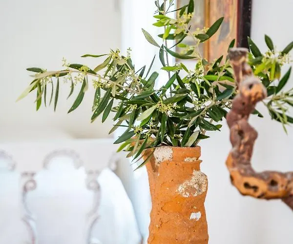 Case de vacanță Olive Grove